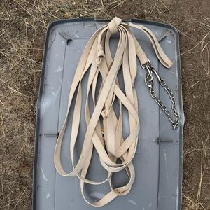 Lunge line with Chain
